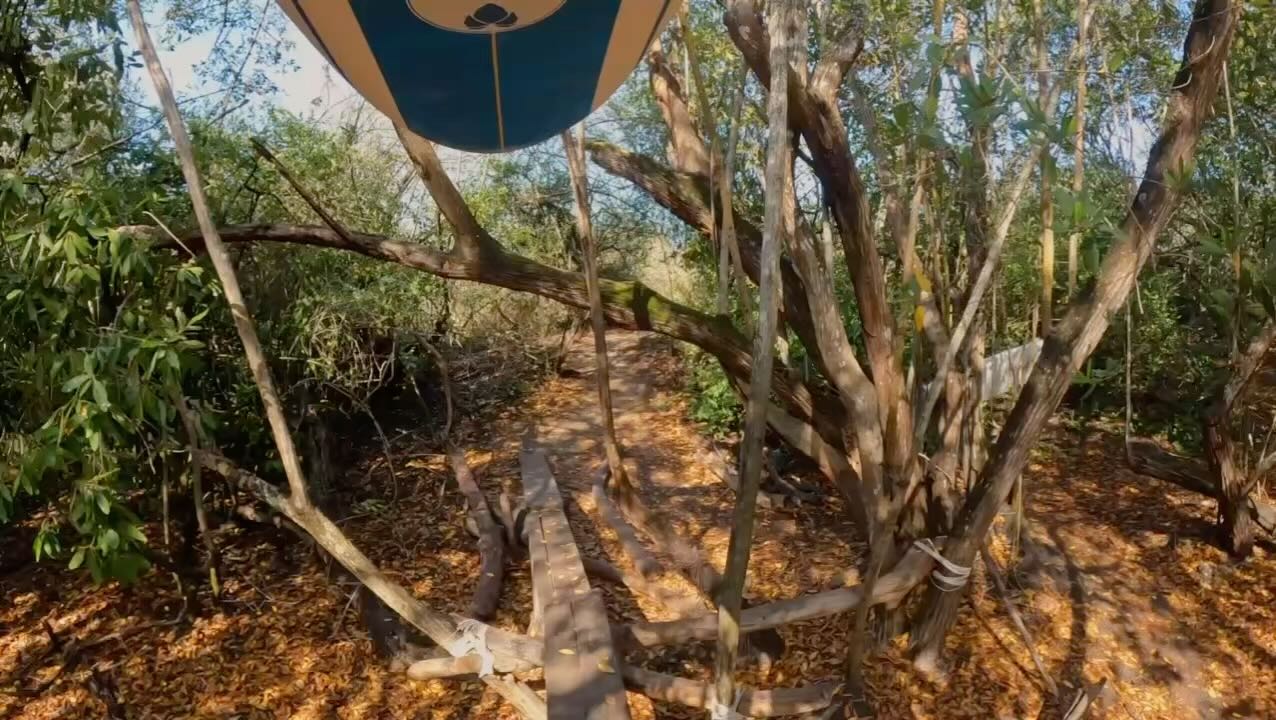 Jungle walk👣🌳🍂
•
•
•
•
•
#surflessons #surfvallarta #gosurf #instabeach #waves #instamexico #instatravel #family #jalisco #vacation #sea #views #surf #surfing #fun #puertovallartasurf #mainlandmexico #jungle