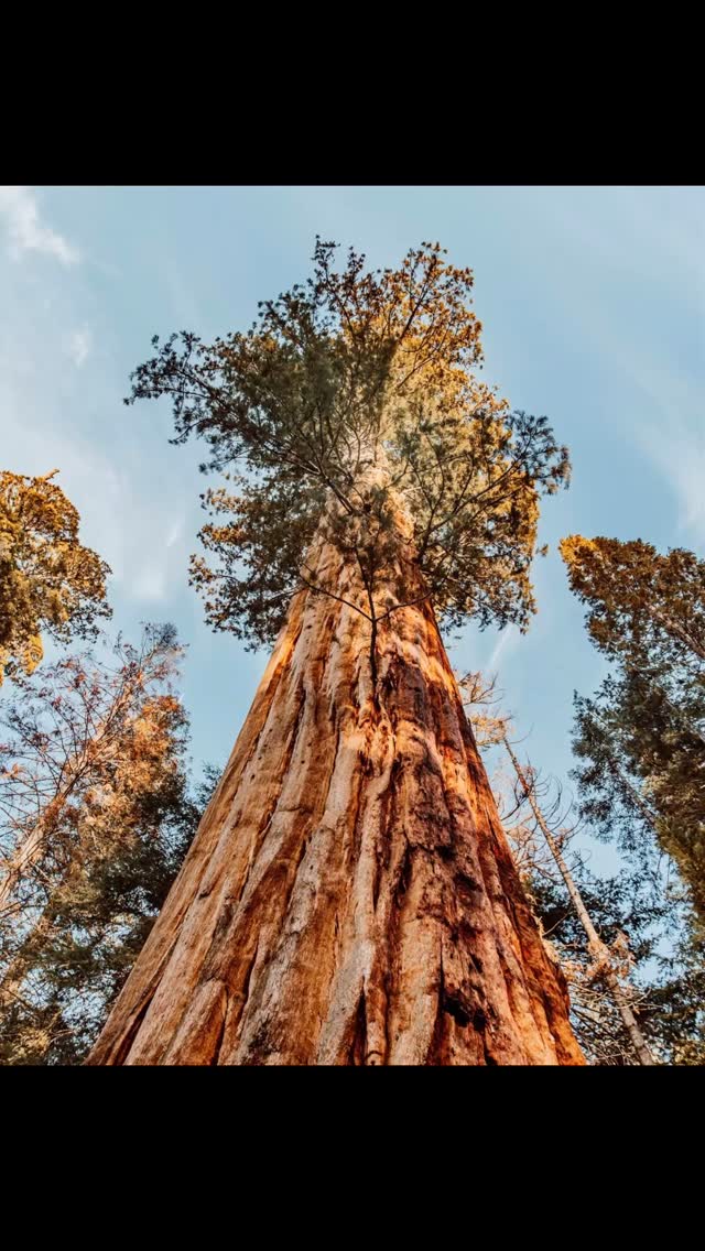So I’m not a camper, I’m allergic to most things outdoors…but I dabble 😉. California is such a special state because you can go from mountains to beach in just a few hours. As an outdoor natural parks dabbler What are your must see recommendations? Favorite parks? Bucket list must adds?