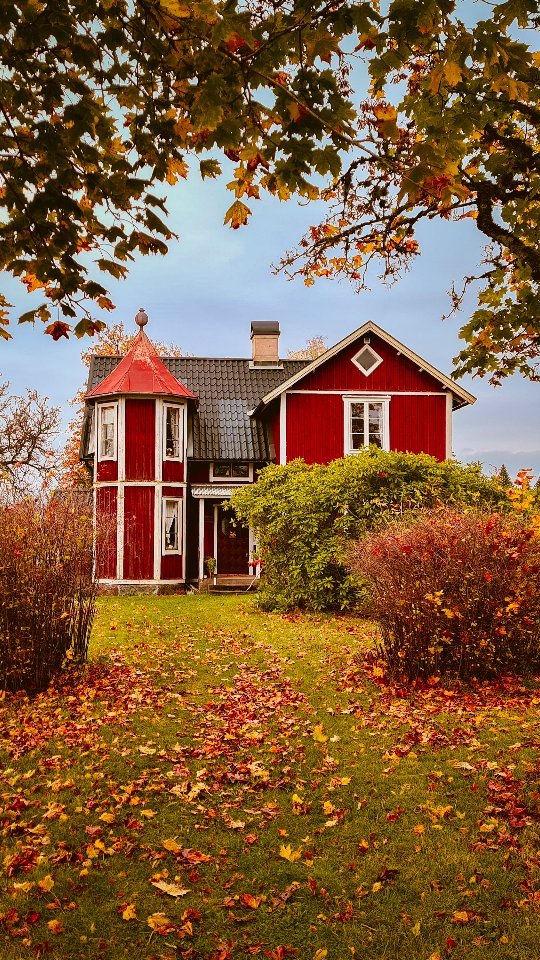 It's a season
.
.
#autumnalcolours #beautyintheeveryday #octoberskies #slowandsimpledays #höst