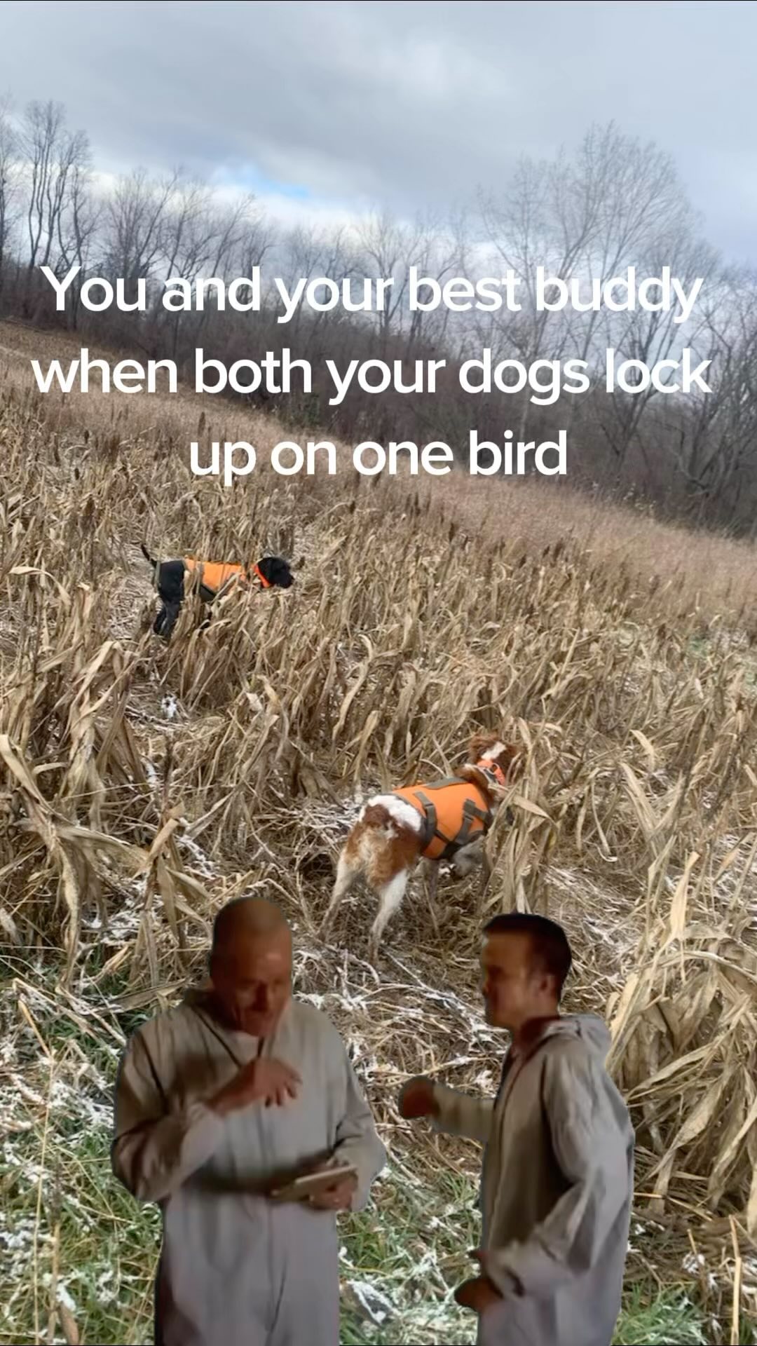 Best feeling ever
#birds #dogs #hunt #upland