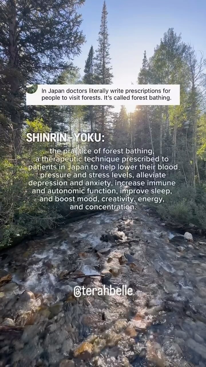 …Starts prescribing forest bathing on all my patients treatment plans ✍️
It reminds me of being in nature in Japan, what a magical place it is and how amazing these simple traditions are entwined in their culture for ongoing maintenance of health and wellness 🙏🌳
Thank you @terahbelle for the beautiful post
---------------
Glow Acupuncture & Chinese Medicine 106 Canterbury Rd, Middle Park VIC 3206
#forestbathing #ancienttraditions #japan #chinesemedicine #holistichealing #nature #breatheeasy