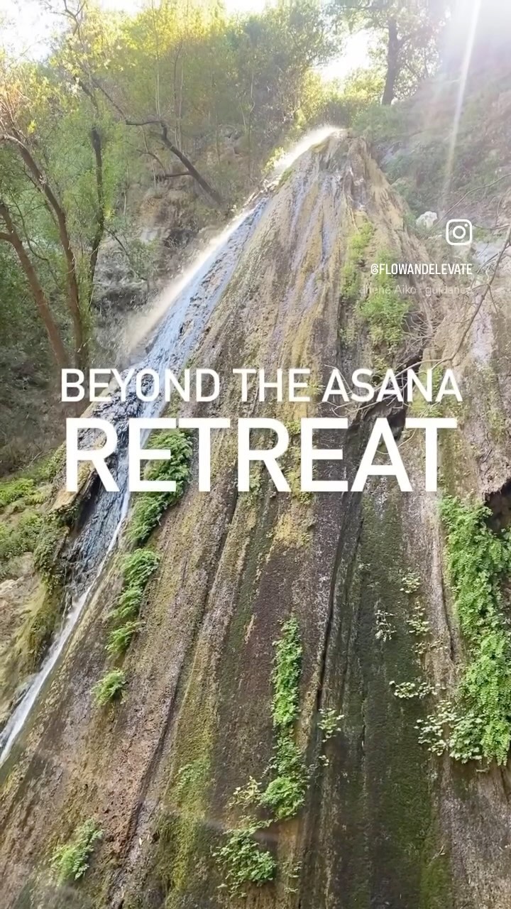 Beyond the Asana - RETREAT
A Day of Discovery and Healing
Find your Inner Strength,
learn to breath and let go.
The Tools You’ll Walk Away With
The goal is not for you to become whole in one day. Rather, we want you to give you tools so you can find inner serenity over, and over, and over again.
- Learn to breath through everything
- Trust yourself and the unfolding
- Feel strong and empowered
Check out the RETREAT section
in my link-tree @flowandelevate
#innerpeace #retreat #dayretreat #ventura #womenonly #breath #findinnerstrength #letgo #unleash #unfold #yoga #yogaboard #breathwork #soundbath #reiki #soulfood #mindbodyconnection #journaling
@ambernicole_creativeco @second_coat @focushawaiiventura @itsmekimmy.b @reikishan