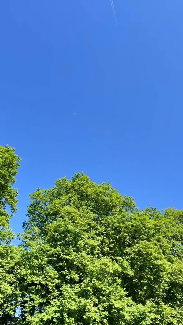 Thereโs no stopping these girls sometimes ๐ฎโ๐จ
London event this Saturday!!! ๐ฏ Going to be a hot one so bring your suncream and shades, and weโll bring the cold beers ๐
#dyeislife #beerdie #dye #sports #drinking #games #university #students #socials #unisocials #drinkinggames #freshers #beerpong #beer #events #stag-do #summer #outdoorgames