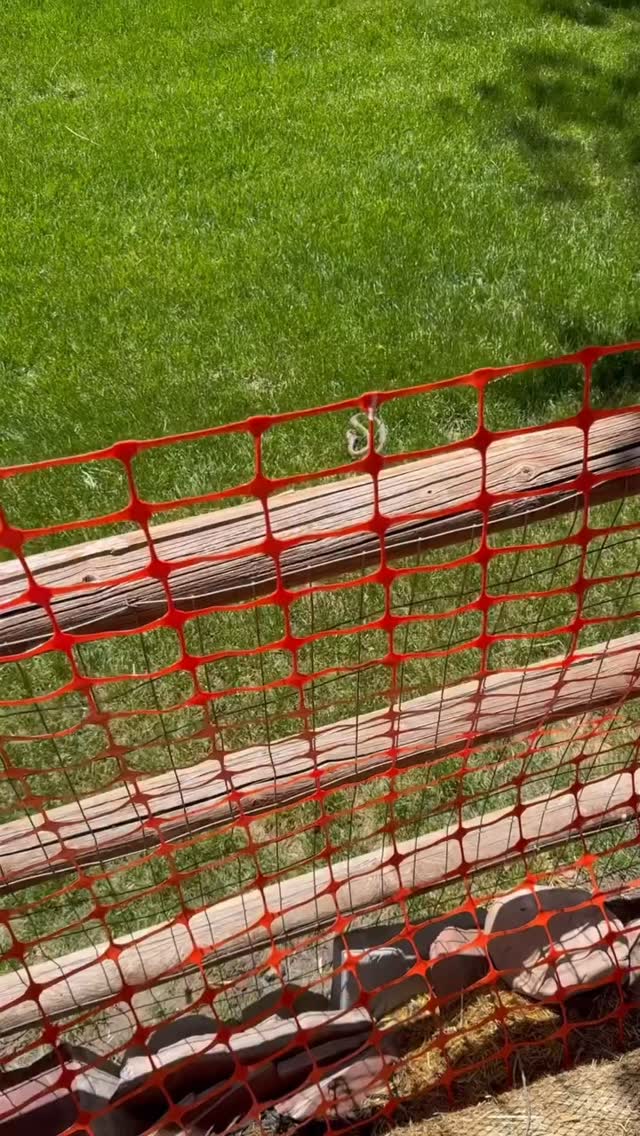 La cadena alimenticia es el gran equilibrio que sostiene la vida en cada rincón de nuestro planeta. Desde las plantas que transforman la luz del sol en energía, hasta los depredadores que regulan poblaciones, cada eslabón cumple un propósito esencial.
🌀 La serpiente, guardiana natural de los jardines
Al alimentarse de roedores y otros pequeños mamíferos, la serpiente controla las plagas que pueden dañar cultivos y propagar enfermedades.
Su presencia equilibra el ecosistema: sin depredadores, las poblaciones de plagas se disparan; con ellas, se mantiene la salud del entorno.
🏡 Limpieza y cuidado del hogar
Un patio libre de basura, escombros y restos orgánicos reduce los escondites de ratas y ratones.
Mantén la vegetación podada y las pilas de leña ordenadas: así facilitas la labor de los depredadores naturales y evitas plagas indeseadas.
🌿 Tu papel en el equilibrio
Respeta a las serpientes: no las molestes; ellas hacen el trabajo “sucio” por nosotros.
Mantén tu entorno limpio: recicla residuos, retira escombros y controla la maleza.
Comparte conocimiento: educa a tu familia y vecinos sobre la importancia de cada eslabón de la cadena alimenticia.
Cuando cuidamos nuestro hogar y protegemos a sus guardianes silvestres, nos convertimos en verdaderos defensores del equilibrio natural. ¡Actúa hoy y fortalece la vida que late a nuestro alrededor
#fundacionvivarium #preservandovidas #snake #venezuela #educaciónambiental