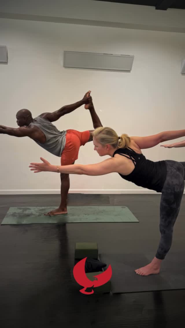 Focus your mind. Flow with intention. Evolve your practice.
At RedTail Power Yoga, we don’t just teach yoga — we teach transformation.
Rooted in excellence. Guided by curiosity. Built on deep connection.
✨ Ready to feel better in your body and your life?
Try 30 days of unlimited yoga & barre for just $69.
📍Hopewell Junction, NY
🎟️ Link in bio to get started.
#WhyRedTail #RedTailPowerYoga #HudsonValleyYoga #YogaStudio #PowerBarre #YogaCommunity