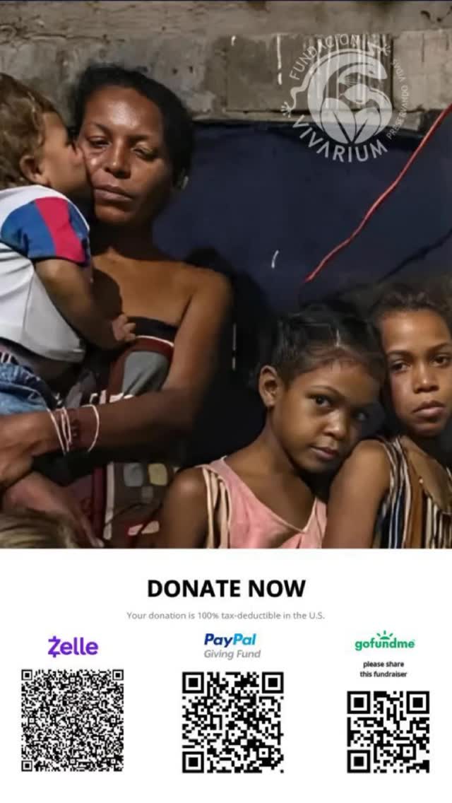 🌧️ ¡Emergencia en Mérida, Venezuela!
🇻🇪 Deslizamientos de tierra han dejado a cientos de familias sin hogar, comida ni atención médica. Desde Fundación Vivarium USA estamos entregando ayuda directamente a las comunidades más afectadas.
💚 ¡Tu apoyo puede salvar vidas!
📲 Dona aquí:
🔗 PayPal Giving Fund: http://bit.ly/402z5sn
🔗 Zelle: https://bit.ly/4eBv2sX
🔗 GoFundMe: https://gofund.me/dd7cf70a
🧾 100% deducible de impuestos en EE.UU.
—
🌧️ Emergency in Mérida, Venezuela!
Landslides have left hundreds homeless and without access to food or medical care. Fundación Vivarium USA is delivering emergency aid to those who need it most.
✅ 100% tax-deductible donations (U.S.)
🔗 Donate today – links in bio!
#fundacionvivarium #preservandovidas #venezuela #mérida #sos