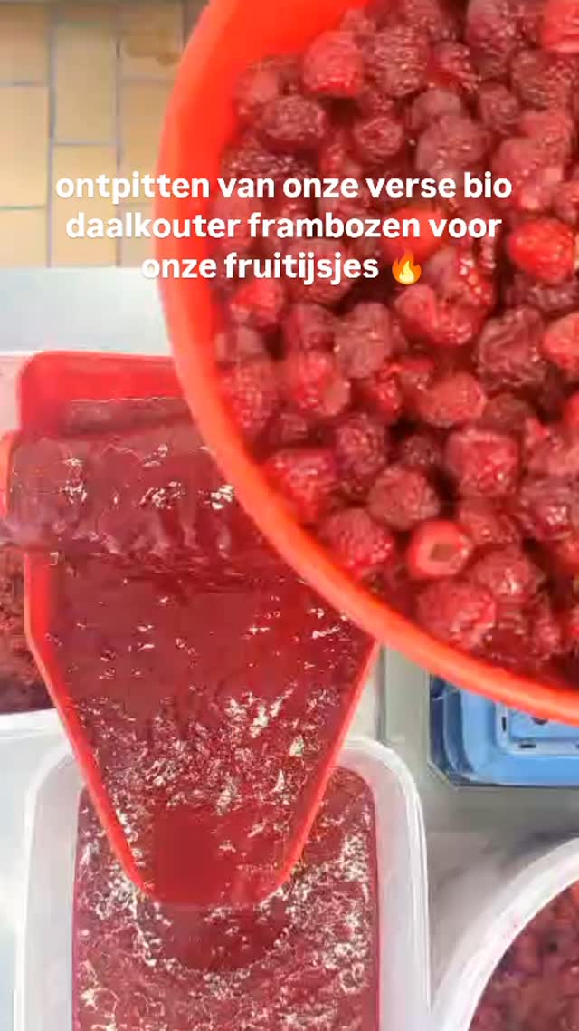 Om de 3 dagen worden onze frambozen geplukt, ontpit en omgetoverd tot heerlijke biologische fruitijsjes. π
#popsicle #fruitijsjes