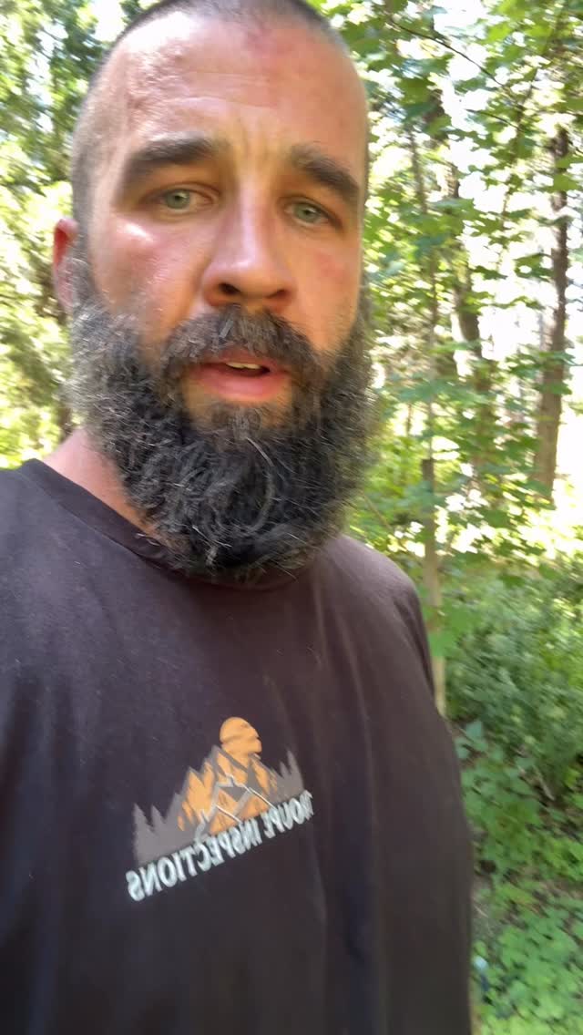 1928 cabin/home inspection