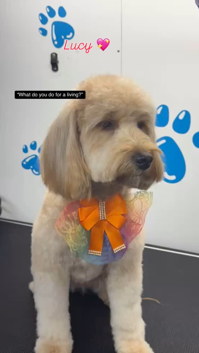 Cute Lucy ๐