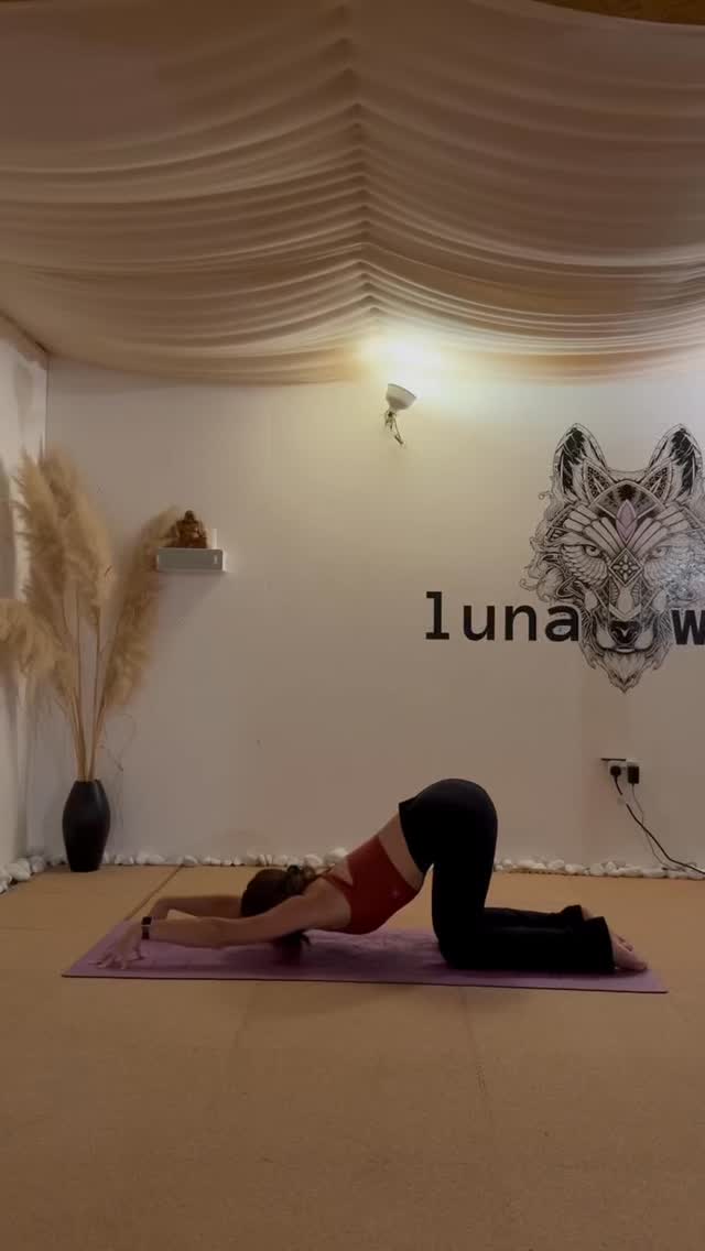 Studio Update & Gentle Reminder🐺🧘🏽♀️
Bookings are open – secure your spot for the week via our website and stay committed to your practice.
If you’re new to our community, we’d love to invite you in with our £30 for 30 days unlimited trial. Consider this your sign to begin your journey with us.
#lunaandwolf #exeter #exeterstudio #yogaclasses #exeterlife #yogi #devonstudio #devonyoga #exeteryoga #community
