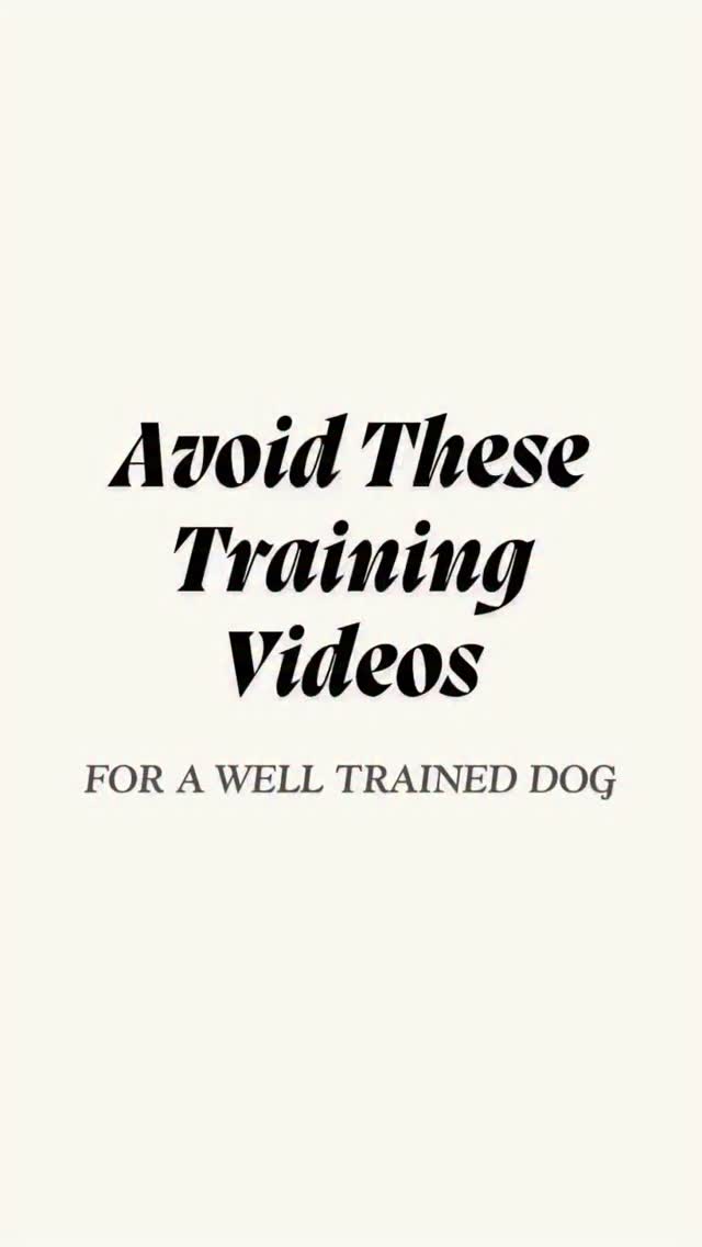 The internet is FULL of dog training advice… but not all of it is good.
Some videos look helpful — but they can actually set you and your dog back.
Here are 3 types of training videos to avoid:
1️⃣ “Instant Fix” Videos – If it promises to “stop barking/pulling/jumping instantly,” it’s usually suppressing the behavior, not solving it.
2️⃣ “Just Use More Treats” Videos – Treats are great, but if your dog only listens with a cookie in your hand, they’re not trained — they’re being bribed.
3️⃣ “Let Them Figure It Out” Videos – Leaving your dog to “figure it out” without guidance doesn’t build confidence — it builds confusion.
👉 Real training is about structure, clarity, and consistency — not quick hacks.
#DogTrainingTips #BarkCollective #BalancedTraining #CostaMesaDogs #DogTrainerLife #ReactiveDogHelp #DogBehaviorHelp #OCdogs