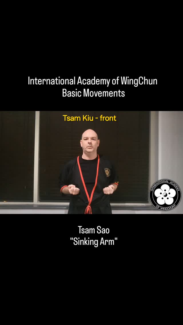 International Academy of WingChun
Basic Movements
Tsam Sao - "Sinking Arm"
.
.
.
.
.
.
.
#wingchun_gb #selfdefense #yourownsecurity #sat #health #kungfu #martialarts #ipman #brucelee #mma #wingchunkungfu #wingtsun #vingtsun #fitness #jeetkunedo #taekwondo #karate #chertsey #woodendummy #boxing #chinesemartialarts #sifuklausbrand #wingchun #ufc #wt #leungting
#theriverbourneclub