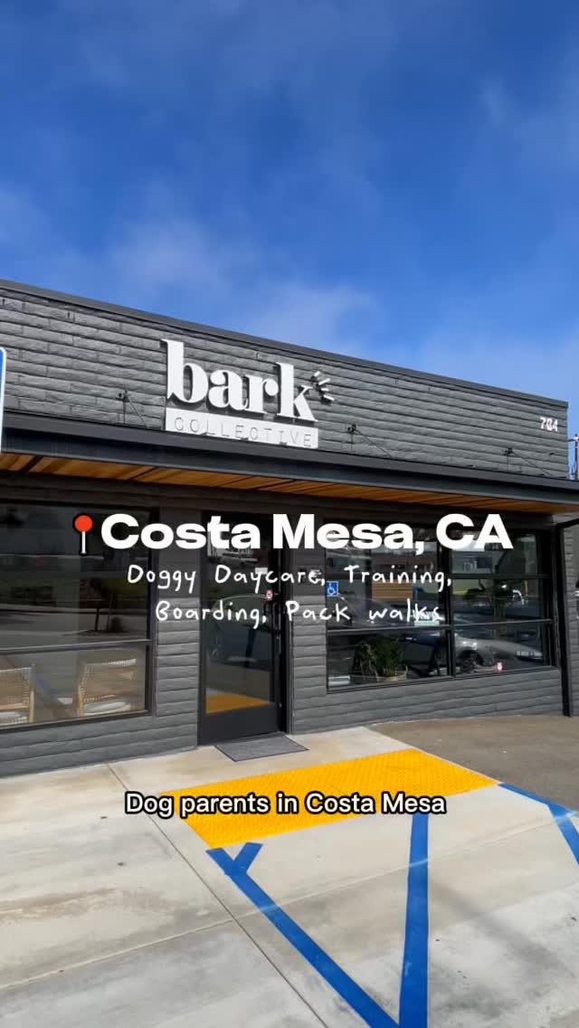 ✨ The happiest dogs in Costa Mesa live here. ✨
At Bark Collective, our daycare isn’t just “playtime.” It’s structured, safe, and led by an amazing team who treats your pups like family. 💛
From pack walks to calm downtime, enrichment activities to cuddles, our goal is simple: dogs leave happier, calmer, and more balanced than when they came in.
🐾 Best staff. Best dogs. Best vibes.
📍 Costa Mesa’s premier doggie daycare
#CostaMesaDogs #DoggieDaycareDoneRight #BarkCollective #DogLovers #StructuredDaycare #OCdogs #CostaMesaLife #DoggieDaycare #BestDogDaycare #HappyDogsHappyLife