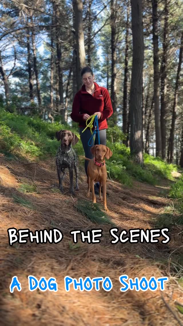 A behind the scenes from our photo shoot the other day 😅
#nzsmallbusiness #dogsnz #ecofriendly #ratuski