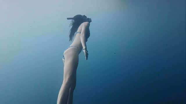 女仔自由潛水有天生優勢 體態特別優美 🩷
加入我們的自由潛水課程,與摯友伴侶共探奇景。 去我地網站睇下有咩自由潛課程啱你玩啦👇
又或者DM下小編傾下⠀https://freedive.hk
Go to our website or DM for more freedive courses information! https://freedive.hk
🌊🌊~ 強烈推介 ~ 紀錄片 FISHPEOPLE (被大海所改變的生命) 🌊🌊
為什麼潛水能為大家帶來變革性的正面變化? .. 直至看了這部短片FISHPEOPLE, 他們很好地將這感受及原因拍攝了出來.. 👉 https://bit.ly/4mD5hfl
🌊🌊 SEA x DIVER: FISHPEOPLE (Lives Transformed by the Sea) 🌊🌊
It’s difficult for me to find the right words to explain why diving can bring about a transformative positive change for everyone. Until I saw this short film FISHPEOPLE .. 👉 https://bit.ly/4kUB224
🙆新手學自由潛 blog推薦!
1️⃣ 擔心無法閉氣足夠長的時間? 我無法完成所有課程要求怎麼辦? 👉 https://bit.ly/46C21vp
2️⃣ 自由潛水:一定要會游泳才能玩嗎? 👉 https://bit.ly/fdhk-swim
3️⃣ 為什麼人們常選擇AIDA自由潛水課程? 👉 https://bit.ly/3Hey3Tw
4️⃣ 自由潛水危險嗎?關於訓練風險與安全 👉https://www.freedive.hk/faq
想知更多常見疑問 FAQ 👉https://buff.ly/3QWdxqd
Recommanded blogs are beginner freediver! 👉https://www.freedive.hk/en/faq
Instagram專頁 ⋒ bit.ly/fdhk-ig
Facebook專頁 ⋒ bit.ly/fdhk-fb
|
|
|
#FreediveTraining #HiddenHongKong #HKAdventures #OceanHarvest #freediving #潛水課程 #學潛水 #夏天 #好去處 #潛水 #aida #discoverhongkong #travel #freediver #freedivehk #weekendvibes #香港潛水 #ighk #香港打卡 #hkdiving #freedivegirls