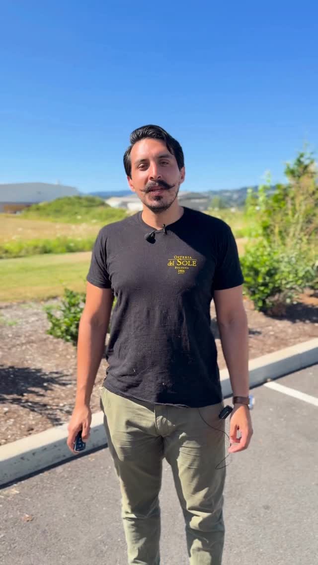 Winery tours got an upgrade and it’s all electric. We can now do tours anytime any place and there are so many wineries to explore. We want to see you out there!
DM me, email or text.
Website being updated atm but find us: ritualwinepnw.com
#ritualwinepnw #oregonwine #camas #winetour #camaswashington #winelover #wine #winelife #vancouver #winetasting #portlandwinetasting #portland #vwlovers #pdx #pdxwine #willamettevalley #willamettevalleywine #winetourism