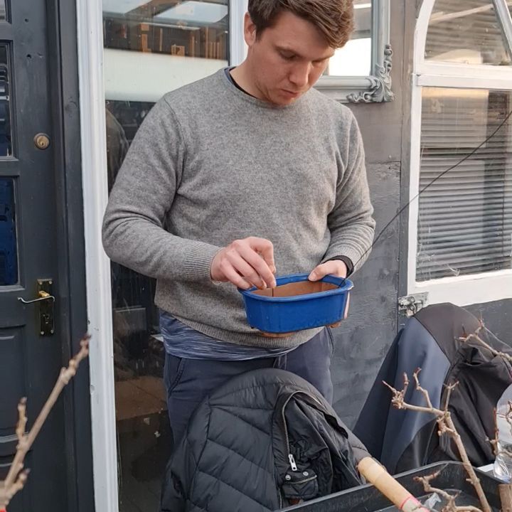 Wiring pot for repotting