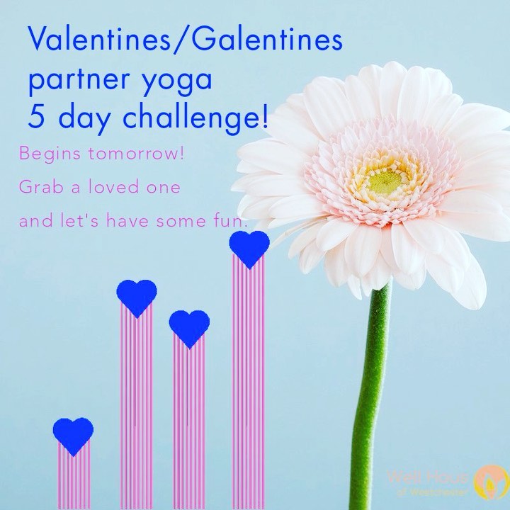 In honor of Valentineβs Day, this week weβre celebrating all healthy relationships! Grab someone you love and join us for a spontaneous and fun yoga challenge. 5 days of challenge, laughter, trust building and yoga! Tomorrow check back here for pose one of the challenge. #wellness #yogachallenge #wellhausofwestchester #westchestercounty #partneryoga #agape #pelhamny #newrochelle #vinyasa #hatha