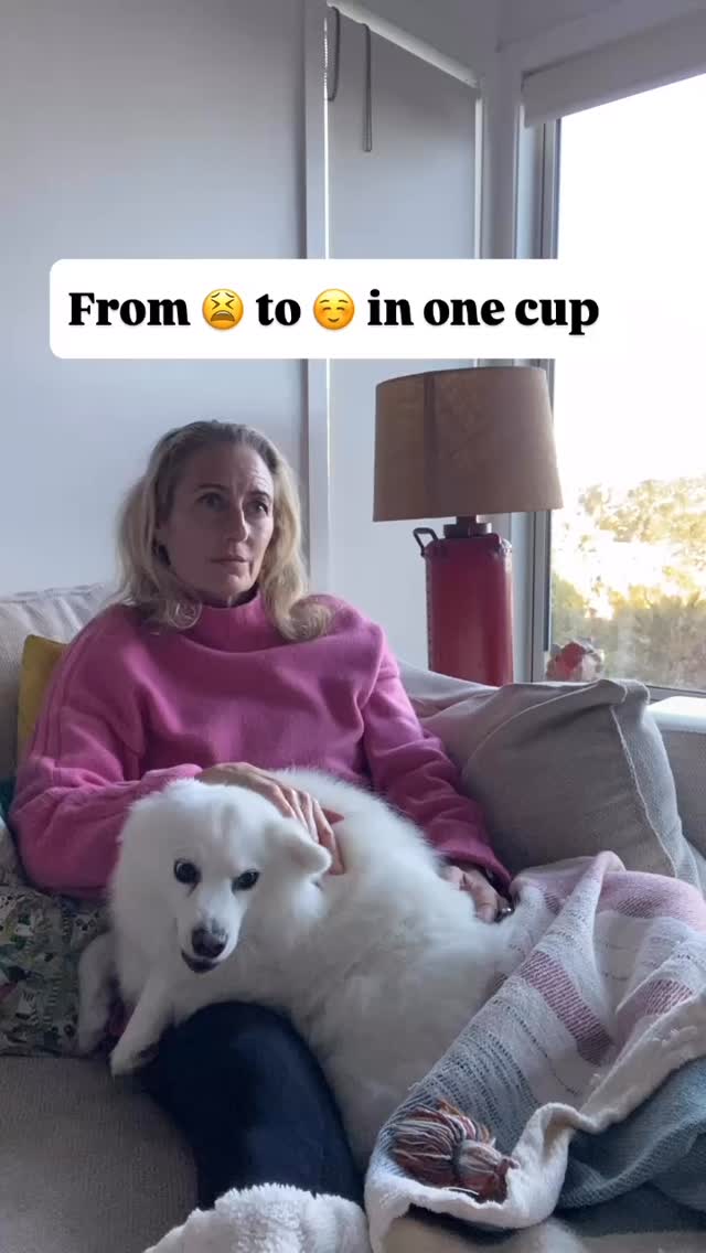 SELF-CARE TIP: STEAL A MOMENT (OR A CUP) BEFORE YOU LOSE YOUR SH*T.
If you are like me navigating the dreaded menopause then half the time, “self-care” is code for “don’t snap at anyone.”
Forget the spa day, sometimes you just need a brew, a bestie (furry or human) and five damn minutes.
Here’s a list of what actually works:
☕️ Tea (obviously)
🛋️ Ignoring your inbox
🫶 Unapologetic chill time
Now spill the tea : what’s your non-negotiable self-care move?
We want all the secrets. 👀👇
#TeaThiefTactics #NotYourAverageWellness #WomenWhoSip #menopause #organic #teatime #selfcare #5mins