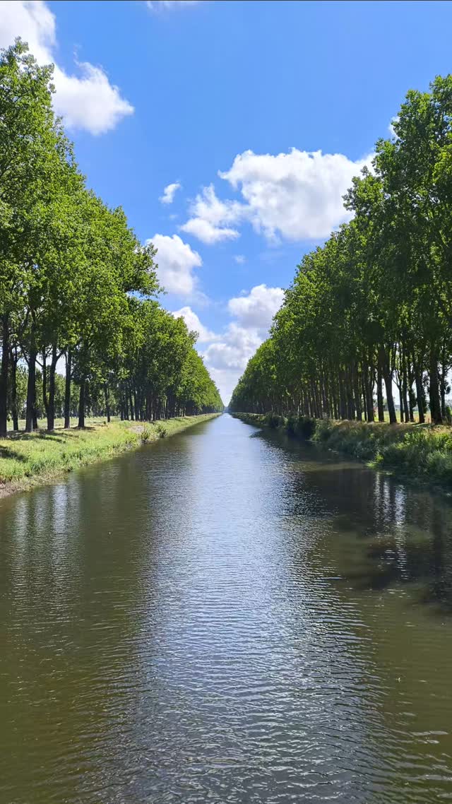 ~ north sea ~ dunkirk ~ bruges ~ ghent ~ antwerp ~ lille ~ brussels ~
#travelphotography #belgium #france #photography #travel