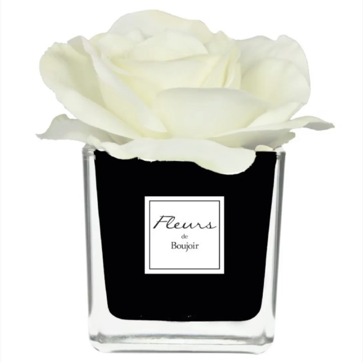 Bianco e nero, fuoco ed aria, ombra e luce: dicono che siano gli opposti ad attrarsi, ma i simili ad amarsi. Voi cosa ne pensate? Ditecelo nei commenti!
#ambienteeprofumi #biancoenero #blackandwhite #sanvalentino #sanvalentino2021 #rosabianca #profumo #regalosanvalentino #fleursdeboujoir