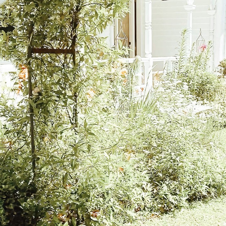 Day dreaming of freedom out of isolation 🕊
Rent your dream designer handbag at My Designer Handbag NZ.
#isolation #covidfashion