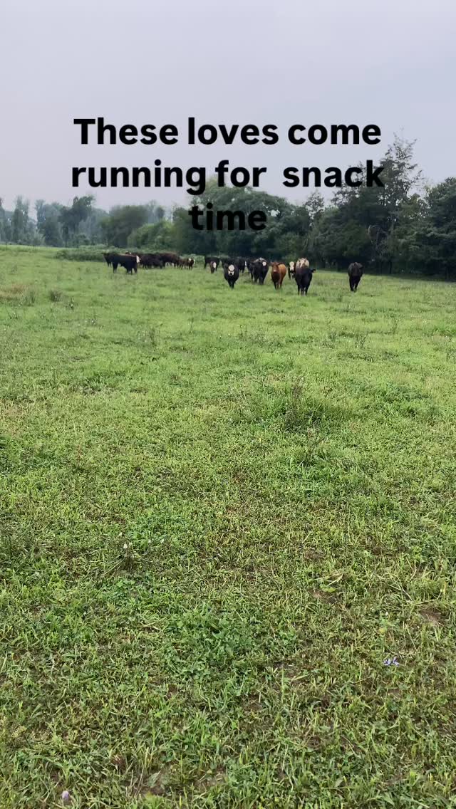 Their favorite time of the day is definitely snack time! So relatable!