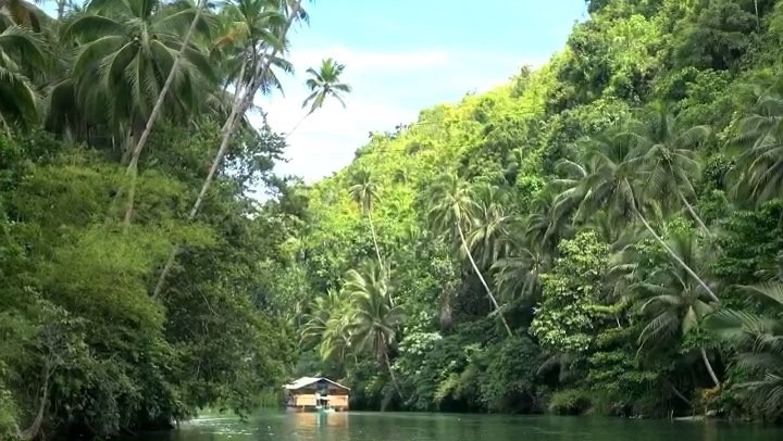 30" #travelvideo #musicvideo #loboc #robock #rivercruise #Bohol #Philippines enjoy @the_philippines @go.philippines camera @yosukehosoi edit @mjhstac #フィリピン #ボホール島 #ロボック川 #リバークルーズ