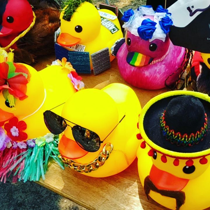 DUCKS, DUCKS, DUCKS!!!
So many great ducks this year.