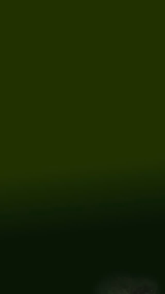 Hey, good looking! 👀
Guess who’s rolling all the way from Tromaville to Scranton? The one and only good-looking Toxie
🧹💚
Come Meet Toxie! Say hi, snap a pic, and make all your friends jealous!
💲 Your $12 ticket gets you BOTH the double feature and the Toxie meet & greet! 📸 Link in Bio!
thescrantonarthaus.com
📍 Scranton Art Haus
301 Lackawanna Ave, Scranton,PA
📅 Friday, August 22nd, 6PM
🎬 Double Feature: The Original Toxic Avenger + Mr. Melvin Super Cut Parts 2–3 (LIMITED screenings!)
Don’t miss your chance to meet the world’s most lovable mop-wielding hero before he cleans up the town. 🧼✨
#ToxicAvenger #MrMelvinSuperCut #ScrantonEvents #TromavilleInScranton #ScrantonArtHaus #MovieNight #CultClassic #MeetAndGreet #lloydkaufman #tromamovies