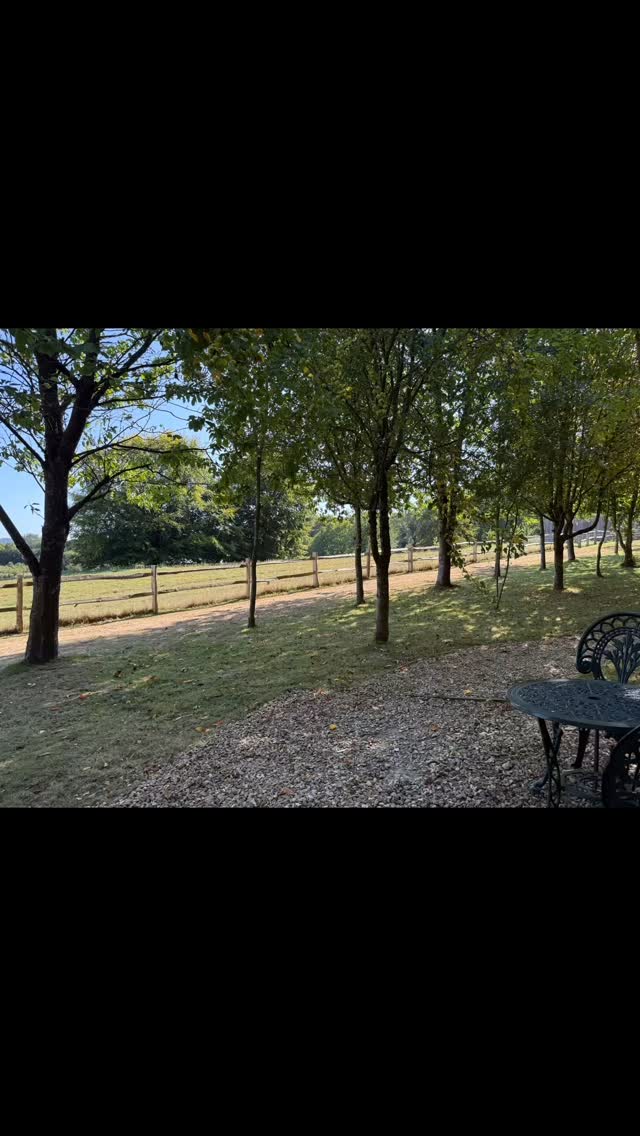 With our weekend guests gone, we decided to spend a quiet late summer afternoon down by our shepherd’s hut Jessie. The sun still shining and the air still warm, the dogs were happily nosing around enjoying the scent of the previous doggy visitors. It’s the most peaceful spot and we are not surprised that so many of our guests come back. #castlemanscottages #visiteastsussex #dogfriendly #1066country #shortbreaks #weekendbreaks 🌿🐾
