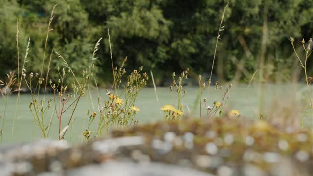 Seid ihr auch schon gespannt auf den #SUR25 Film? 😎
Ein kleiner Teaser zum Film von @visuellbewegt und @steaseproduction . 🤩
@lasportivadach