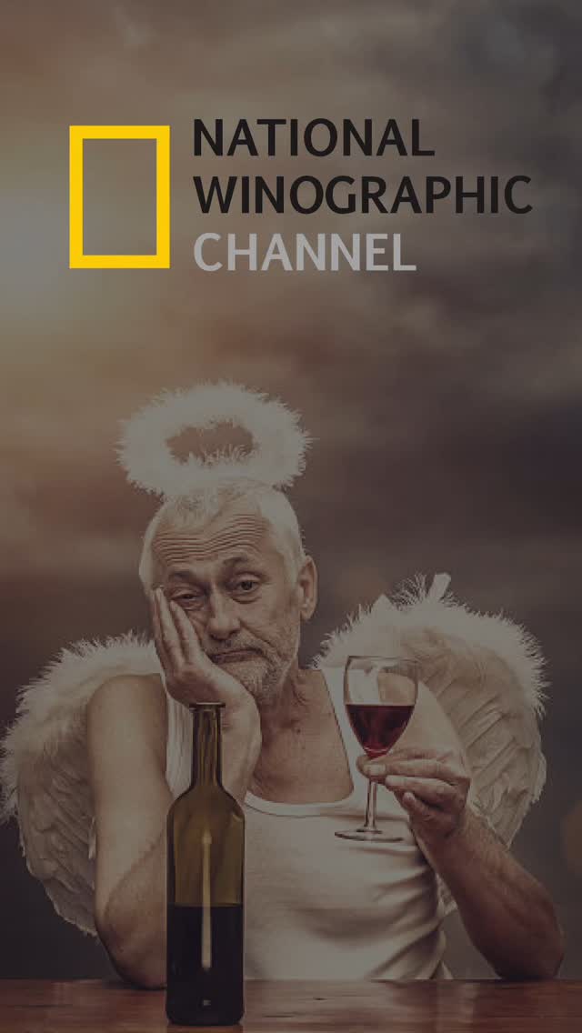 We spotted a bottle of wild Pinotage in the bushes #winesofinstagram #winetime🍷 #winechat #learnwine