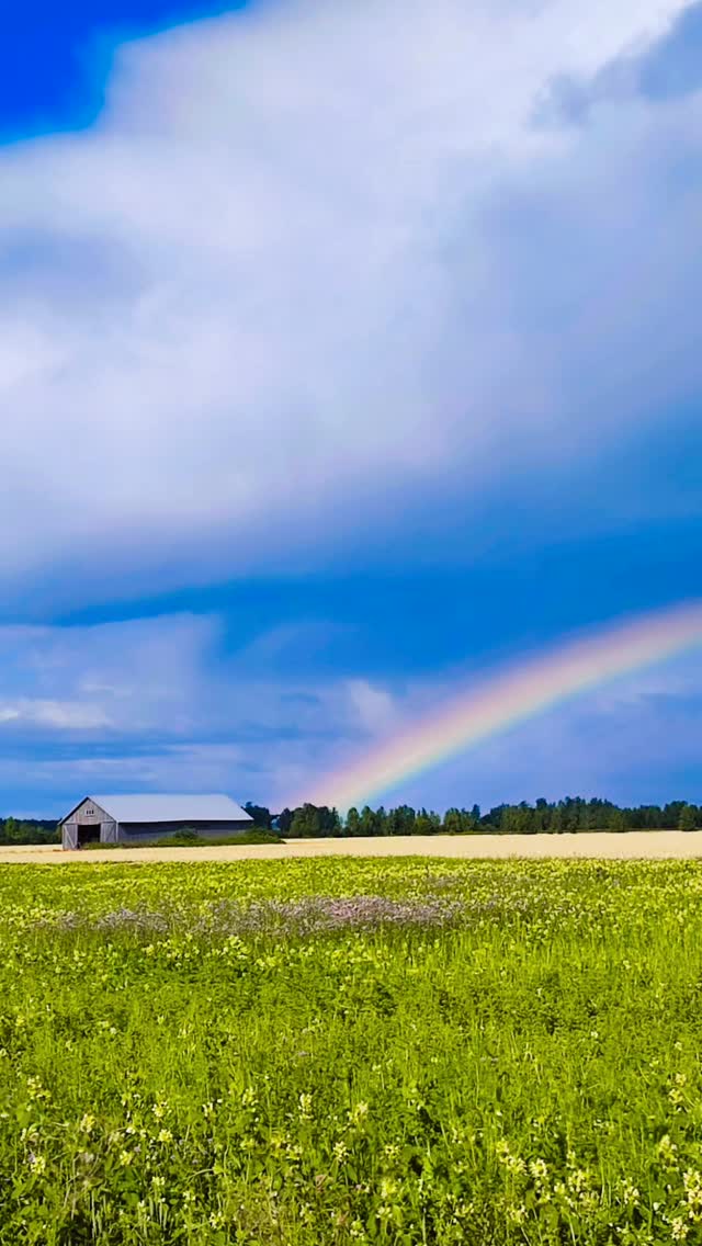 🌦️🌈🤎