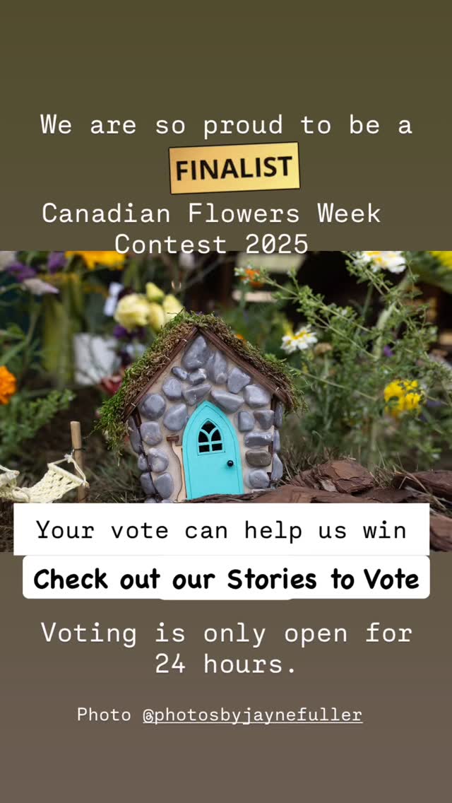 We are so excited and very honoured to be selected as a Finalist on the 2025 Canadian Flowers Week Contest!
The winner will be chosen by community vote. Your vote counts! Please visit our Stories for a link to vote for the floral installation we did with @theflowershopandmore
Voting is only open until Tuesday afternoon. Every vote counts! Thank you for your vote.
#Thegardeninharrington #harringtonontario #tavistockontario #tavistockontarioflowers #harringtonontarioflowers #embroontario #embroontarioflowers #embroontarioflowerdelivery #tavistockontarioflowerdelivery #thamesfordontario #lakesideontario #stmarysontario #stmarysontarioflowers #stmarysontarioflowerdelivery #woodstockontario #woodstockontarioflowers #woodstockontarioflowerdelivery #hicksonontario #flowerfarm #canadianflowerfarmer #ontarioflowerfarm #ontarioflowerfarmer #oxfordcounty #perthcounty #stratfordontario #stratfordontarioflowers #stratfordontarioflowerdelivery #freshflowers #haveyouseenaflowerfarmyet