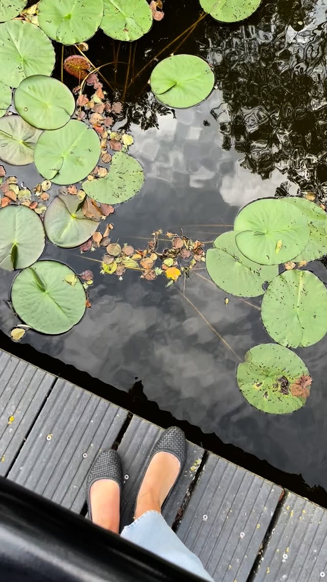 🤎🤎🤎
#interiordesigner #studiomique #mique #slowliving #naturelovers #interiorinspirations #interieurontwerp #interieurdesign #interieurstylist #homedesign #personalhome #tropicalhome #tropicalmodern #balilove #customcraftsmanship