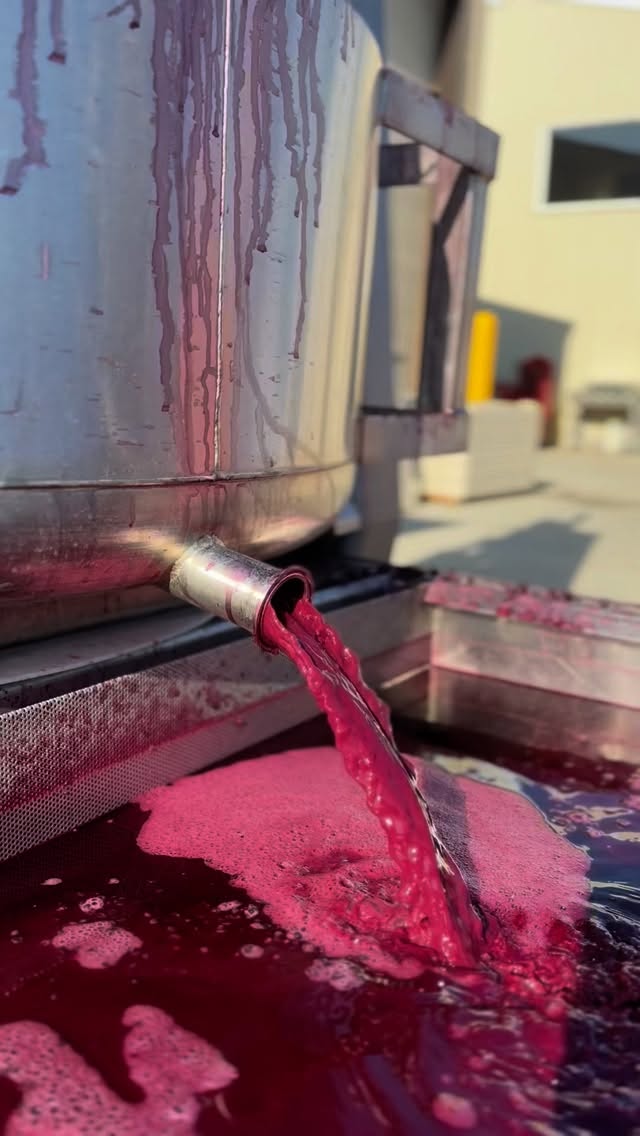 From flipping a coin to knocking on doors, that’s how our Frichette Winery story began. Today, we’re proud to make wine as a family right here on famed Red Mountain with our tasting room open daily to delight you! And amazing events…we host those too! So get here!!!
Plan your visit and connect with us and our over a dozen amazing winery neighbors.
Travel Tips:
✈️PSC
🚙 @_tcblack_
🏩 @lodgeatcolumbiapoint and @thesummitonredmountain
Come see us, sip with us, and experience Red Mountain the Frichette way! Greg, Shae and our team will have a glass ready for you.
#dreamwinevacation
#wineasafamily
#wawine
#winetrip
#frichettefan