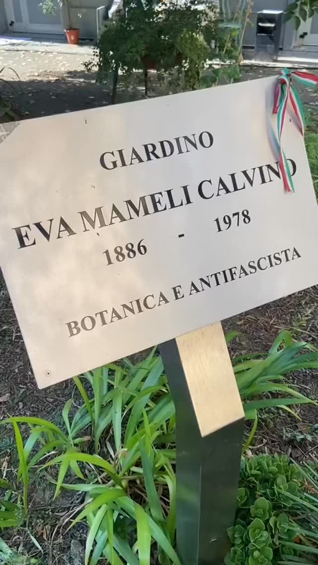 🌳 A Torino si nasconde un piccolo giardino segreto in cui la biodiversità prende vita.
Noi di MAÌS abbiamo trasformato questo luogo in un’avventura per i più piccoli: una caccia al tesoro tra fiori, piante e animali, per scoprire insieme la complessità e la bellezza della natura! 🌸 🐞
🐛BiodiverCity è un’attività che fa parte dell’iniziativa “La Bella Stagione”, sviluppata dalla @fondazionecompagniadisanpaolo insieme alla @cittaditorino, in collaborazione con Fondazione Ufficio Pio, @fondazioneperlascuola , Consorzio Xké? ZeroTredici e @abbonamentomuseipiemonte.
Ogni squadra, seguendo gli indizi tematici e scoprendo il giardino, dovrà raccogliere i pezzi di un puzzle sui regni degli esseri viventi.
#2025Unestateinsieme
#LaBellaStagione2025
#FondazioneCSP
#CompetenzeCSP
#EducazioneCSP
#PersoneCSP
#CulturaCSP