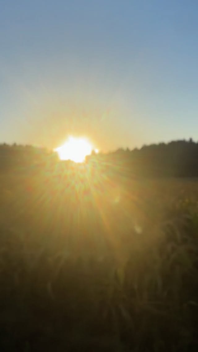 Light Leaks In The Countryside
📍Puddletown, Dorcet
#Sunset #goldenhour #england #light #sun #moon #grandmother #family #puddletownforest