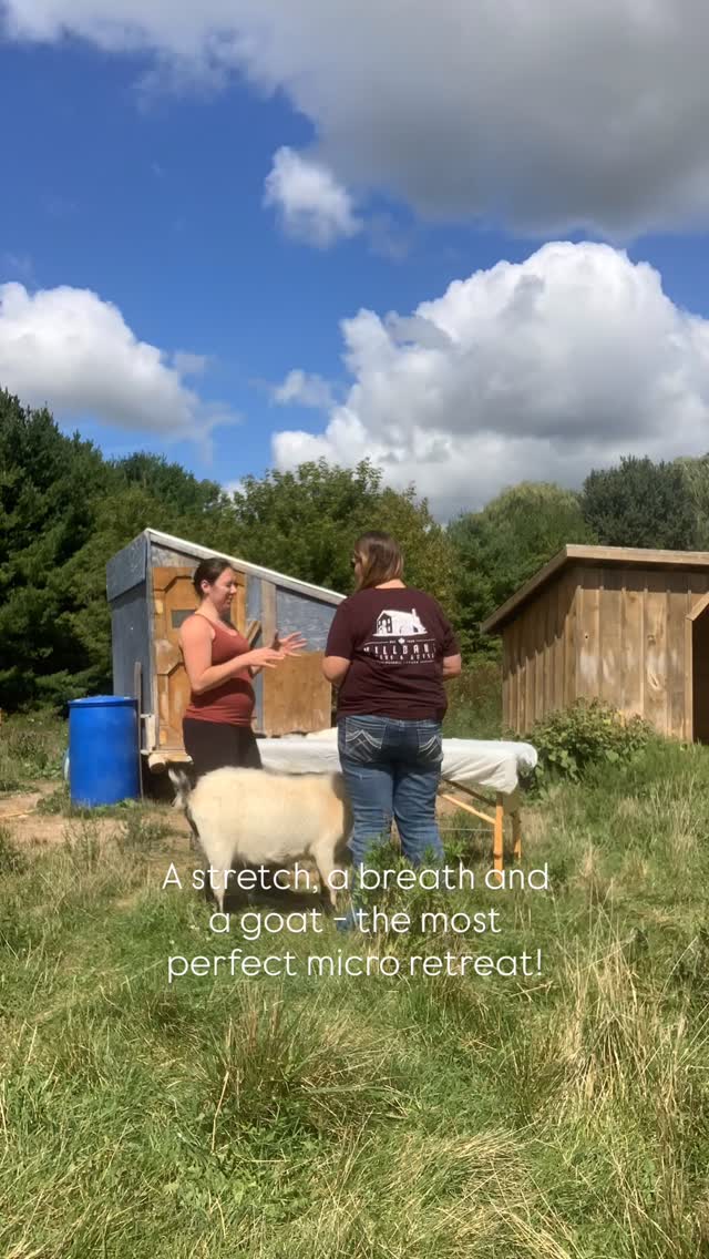 Our first private Somatic Unwinding Micro Retreat - Gah !!! 😍😍😍😍😍😍
This was just SO FUN! I’ve dreamed of doing sessions like this for so long. It was perfect! The sounds of nature, Ody being both the most sweetest supportive soul and also a big michevious twat face, chickens clucking, Chip hanging around, even the odd disruption added to the theme of the session.
These micro retreats consist of a structural rebalancing muscle therapy session, followed by a Breathwork + Reiki session and topped off with snacks + tea and a card pull from Ody, the oracle master himself.
You guys snatched up all the fall sessions I had space for- THANK YOU!
You can expect more Micro retreats in the Spring!! There will be a limited number of discounted sessions available before they go to full price. Get your name on the waitlist if you’d like to be the first to snag a spring somatic unwinding experience. Comment SPRING to be added to the waitlist
😍🐐⚡️🫁🐓❤️