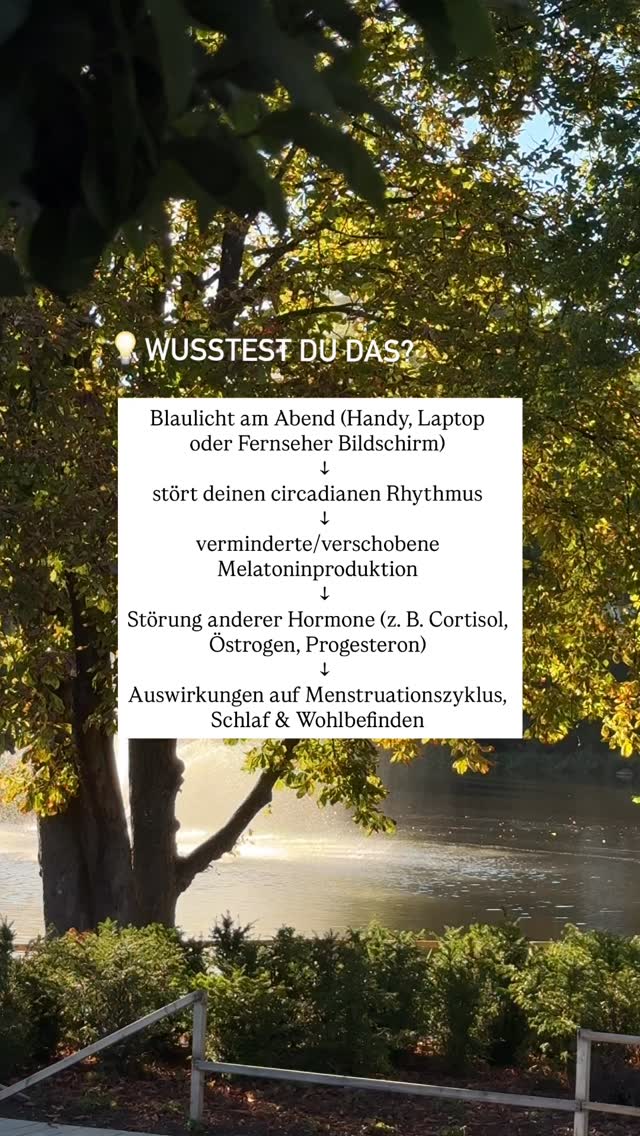 Der circadiane Rhythmus ist unsere innere Uhr, die durch Licht gesteuert wird. Wenn es abends dunkel wird, produziert der Körper vermehrt Melatonin, das uns müde macht und den Schlaf einleitet. 😴
Bildschirme von Handy, Laptop oder Fernseher strahlen jedoch viel blaues Licht aus. Dieses Licht täuscht dem Gehirn vor, dass es noch Tag ist. ➡️ Die Folge: Die Melatoninproduktion wird gehemmt, wir schlafen später ein oder schlechter durch.
Da der circadiane Rhythmus eng mit dem Hormonhaushalt verbunden ist, können auch andere Hormone wie Cortisol, Östrogen und Progesteron aus dem Gleichgewicht geraten. Langfristig wirkt sich das sogar auf den Menstruationszyklus und das allgemeine Wohlbefinden aus.
Alternative Strategien, um Blaulicht abends zu vermeiden:
📱 Rotlichtfilter am Handy oder Laptop aktivieren (→ einfach mit rotlichtfilter kommentieren)
🕯️ Abends warmes, gedimmtes Licht oder Kerzen nutzen statt helles Deckenlicht
😴 Mindestens 1 Stunde vor dem Schlafengehen Bildschirme meiden
👓 Blaulichtfilter-Brillen tragen
🌙 Eine feste Abendroutine schaffen (z. B. Lesen, Meditation), die ohne Bildschirm auskommt
Was möchtest du ausprobieren?
Deine Jana Noel