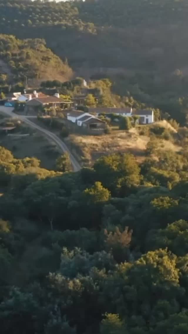 Come experience the south of Portugal
✨ Two retreat openings at Monte da Orada ✨
📅 Dec 9–14, 2025 & Jan 2–9, 2026
🌿 Contact us to plan your stay!