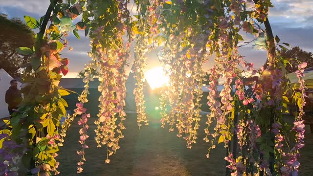 Just a decorated arch, a teepee, and a sunset on opening night in @theenergyorchard at a local festival where I help organise the therapist and healing event schedule every year.
Pretty, isn't it
#@offthetracksfestival
#energy-healing #holistichealth #massagetherapy #mobiletherapist #festivals #thepowerofnow #spreadlove