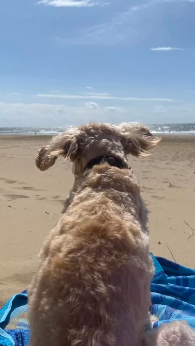 Stap 6 van de AA is:
“Wij waren volkomen bereid om God al deze karakterfouten te laten wegnemen.
Dat woord ‘karakterfouten’ voelt voor mij zwaar en negatief.
Ik geloof niet dat we fouten hebben wel lessen te leren in dit leven.
Voor mij gaat het over patronen die ik mezelf heb aangeleerd om pijn te verdoven.
Patronen van controle willen houden, me waardeloos voelen, en twijfelen of ik er wel mag zijn.
Alcohol was toen mijn beste vriend, maar die vriend versterkte alleen mijn gevoel van waardeloosheid.
Nu kies ik ervoor om liefde te versterken.
Liefde geeft mij het gevoel dat ik er mag zijn, dat ik goed genoeg ben, en dat ik zacht mag zijn voor mezelf.
#12stappennaarherstel #stichtingmetoo #liefdeisdeweg#alcoholvrij #sobercuriouslifestyle