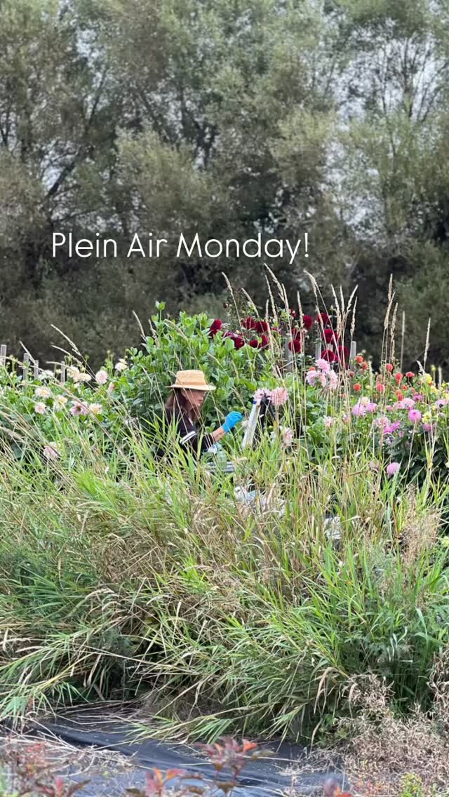 Another wonderful Plein Air Monday! We were blessed with a visit to a private farm and treated to coffee, scones and a bounty of fruit vegetables to take home!!! What a wonderful morning!!! Thanks to Nancy for organizing and Sherry for sharing your home. #bcartist #pleinair #pleinairpainting #pleinairbc #landscapepainting