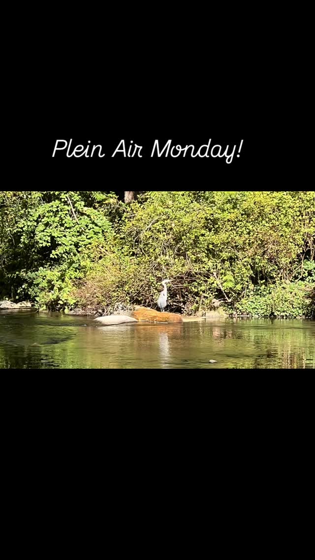 Plein Air Monday at Davidson Pool.
We could feel the crispness of the changing season in the air this morning.
It was very peaceful painting to the sounds of the river going by.
We were joined by two blue heron and a few local fishermen.
I think they were a bit surprised to see us this morning.
Thanks again, Nancy for picking another great spot!#bcartist #pleinair #pleinairpainting #pleinairbc