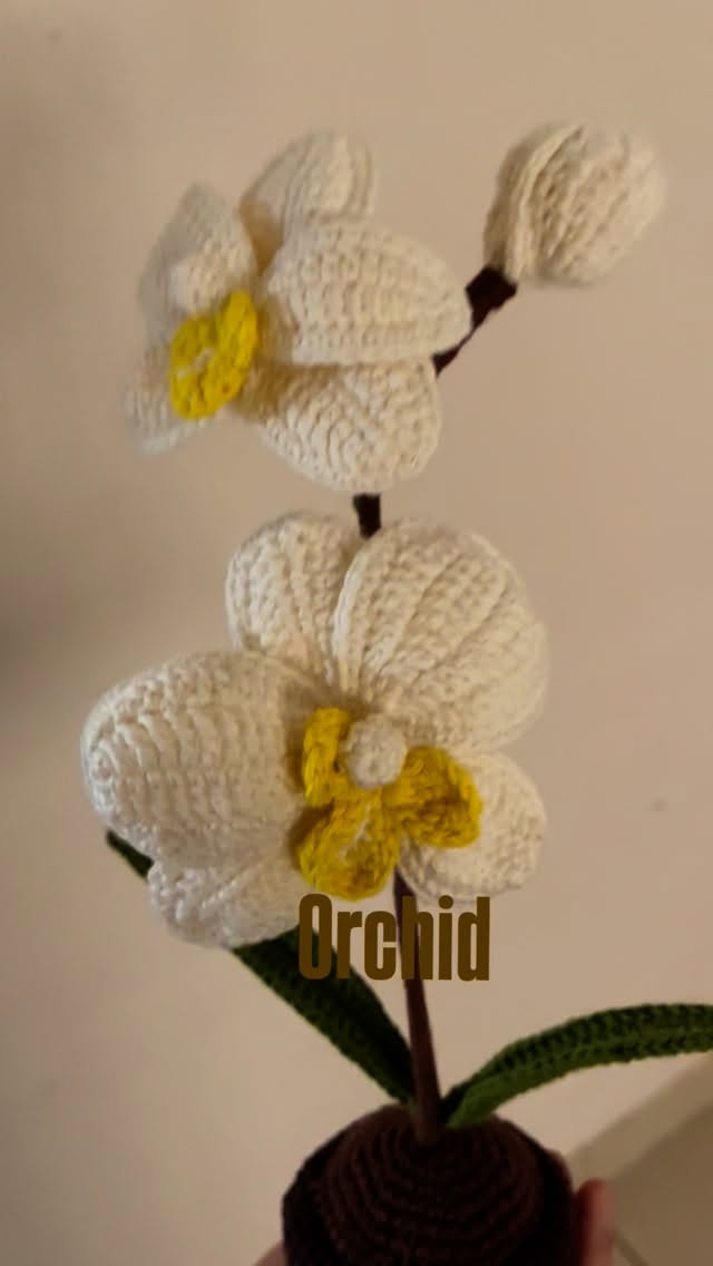 Orchid #crochet