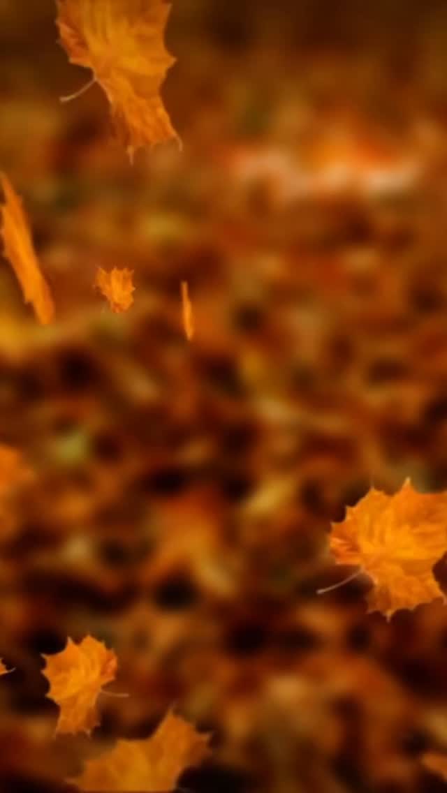 WIE DU DEN HERBST FÜR DICH NUTZEN KANNST AKA DAS GESCHENK DES HERBSTES
Die Vorboten des Herbsts sind definitiv da. Wir können sie nicht mehr ignorieren.
Die Tage sind schon deutlich kürzer, die ersten Bäume lassen ihre Blätter fallen und die Luft am Morgen beisst bereits. Der Wind frischt auf und bringt uns gelegentlich auch Stürme.
Ganz klar: der Sommer zieht sich sukzessive zurück, auch wenn es noch immer Tage mit Temperaturen über 20°C gibt.
Dieses Zurückziehen/diesen Ablauf erleben Frauen, die noch einen natürlichen, sprich hormonfreien Zyklus haben jeden Monat.
Und auch wenn er vielerorts und v.a. in der Gesellschaft noch ein Schattendasein fristet, bringt der Herbst uns jedes Jahr (resp. Jeden Monat) ein Geschenk:
Er bringt uns frische, kühle Luft um durchzuatmen. Und durch das kommt eine Klarheit, die uns zeigt, was wir loslassen (fallende Blätter) können.
Was hat sich im Frühling und Sommer gezeigt, das nicht mehr uns entspricht? Was haben wir im Frühling und Sommer noch leichtgläubig und leichtherzig geglaubt, obwohl es nicht mit unserer Wahrheit übereinstimmt?
Welche Anteile von uns mussten unter dem nach Aussen strebenden Drang im Sommer zurückstecken und melden nun ganz klar ihre Bedürfnisse und ihr Recht, Teil von uns zu sein?
Wo haben wir uns v.a. im Sommer verausgabt und brauchen nun eine verdiente Pause?
In all diesen Fragen steckt das Geschenk resp. das Gold des Herbstes, das nur darauf wartet von dir entdeckt und angenommen zu werden.
#herbst #innerearbeit #energiearbeit #wegbegleitung #zykluswissen #naturzyklus #schamanismus #einsmitdernatur #mentorin #holisticcoach #innenschau #urwissen