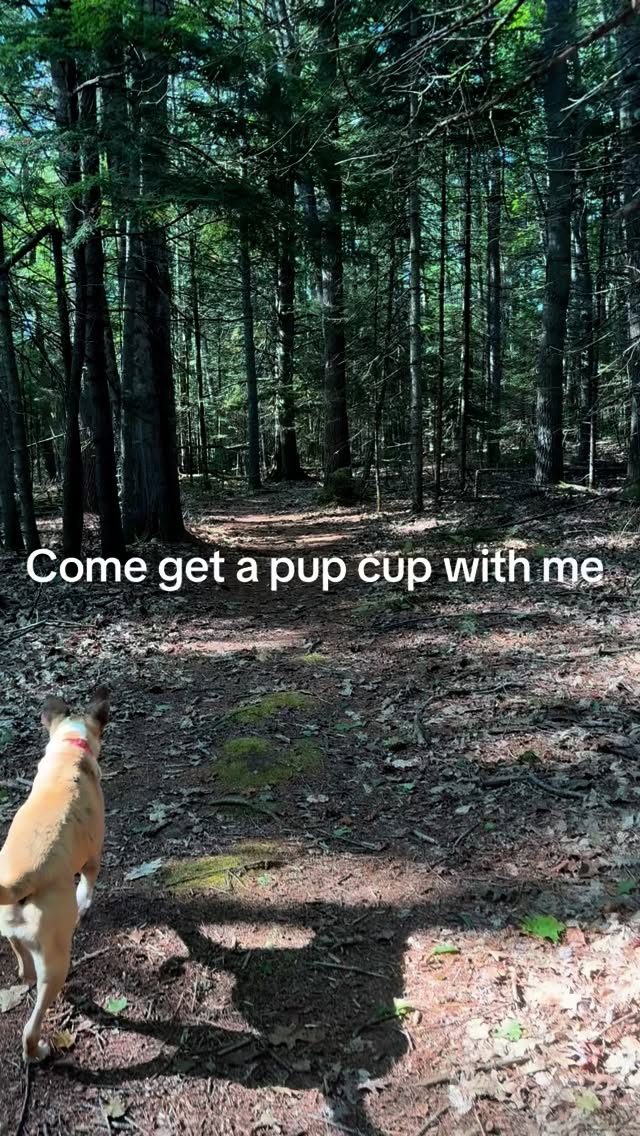 @dunkin she’s content now