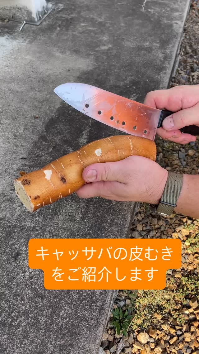 キャッ